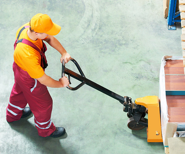 Transporte & operadores logísticos